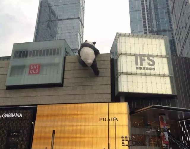 上海三天两夜旅游攻略1000元,上海旅游2-3天详细攻略性价比