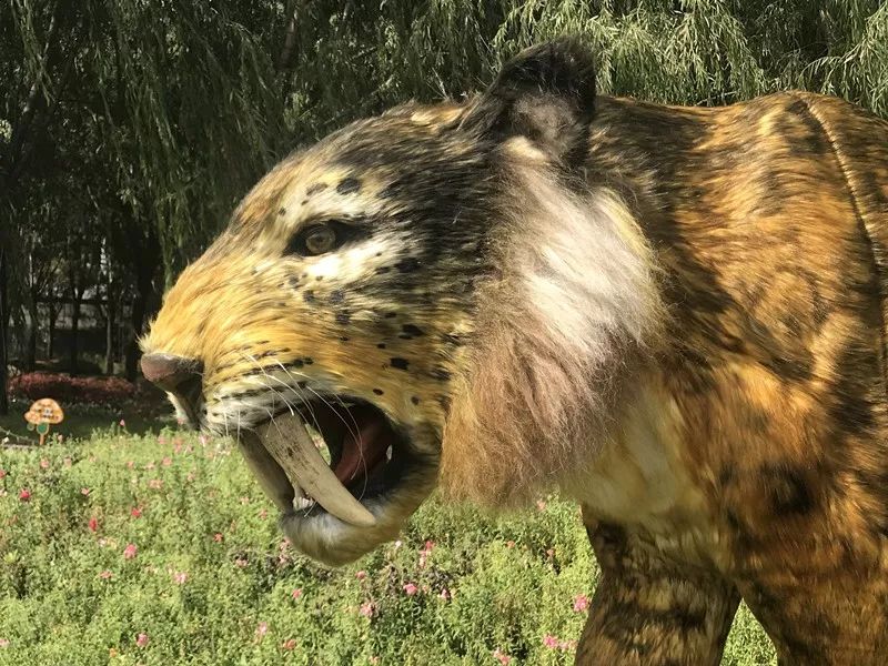 全城通告最新信息,全城通告在线播放