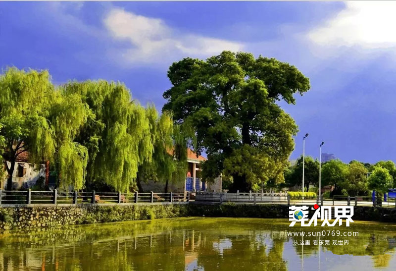 企石风景最美的地方,企石有什么好玩的景点