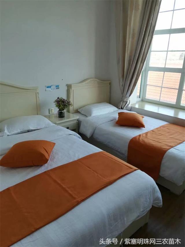 北京龙庆峡民宿,北京龙庆峡民宿第一名