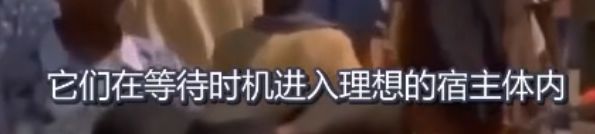 吃活物有寄生虫,吃活的虫子身体里有寄生虫