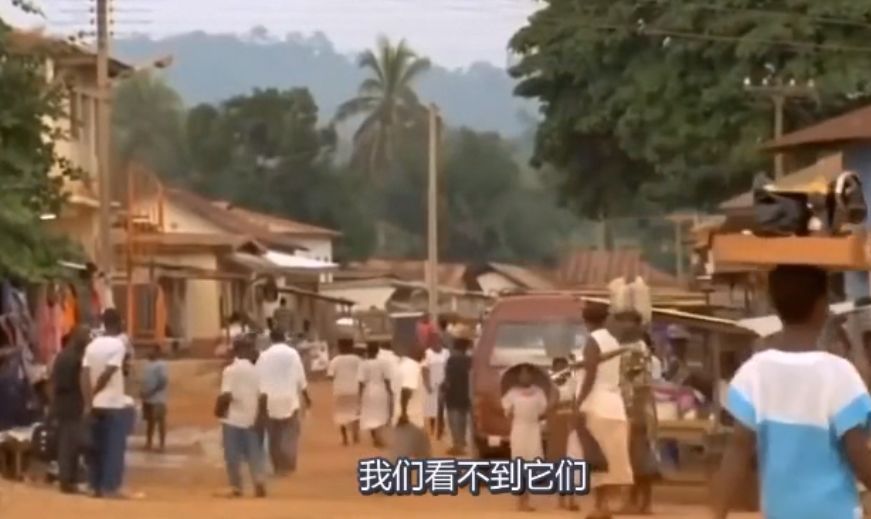 吃活物有寄生虫,吃活的虫子身体里有寄生虫