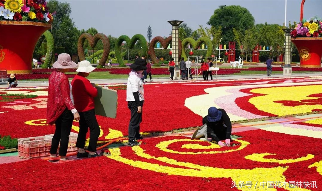 世界最大花地毯,世界上最大花卉展