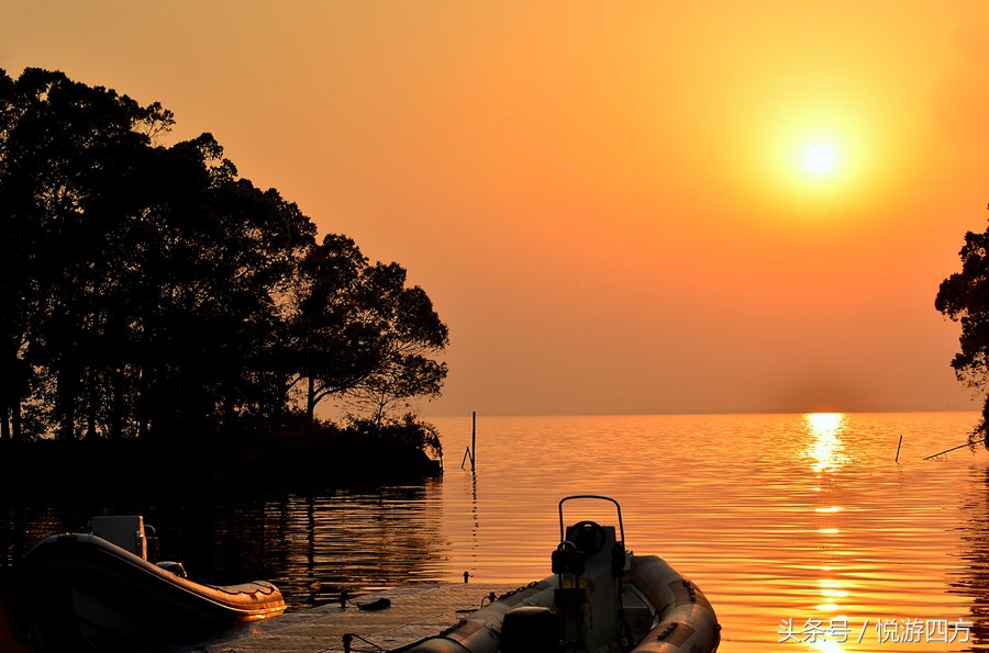 上海这座城市有多美,上海只是上海