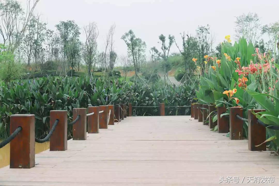 天府新区国庆哪里玩,国庆假期游玩攻略成都天府新区