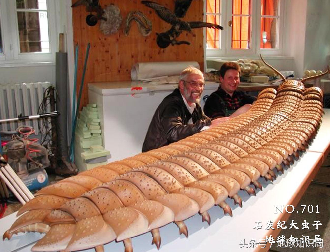 地球上最可怕的虫子,世界上最可怕的而且最厉害的虫子