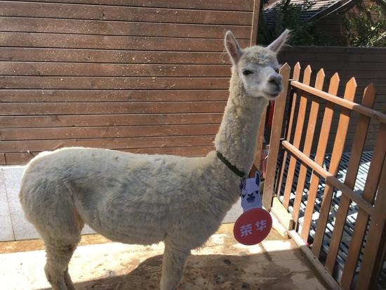 蝶舞生活倾城绽放杭州首个蝴蝶公园在西溪欢乐城盛大开园