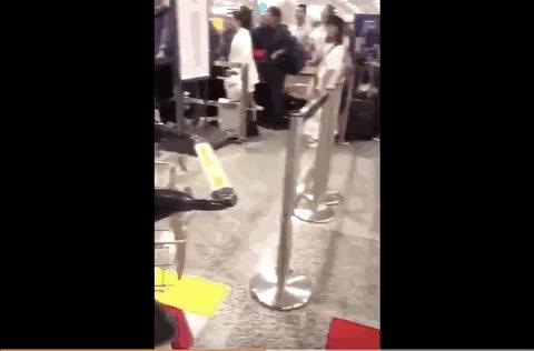 又一个行业可能要消失了,一个行业倒下另一个行业崛起