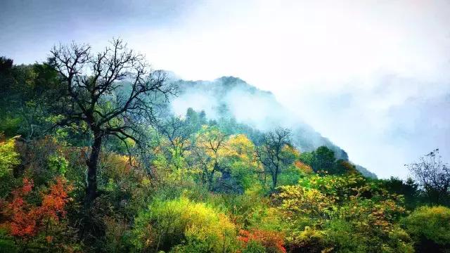 西安出发秦岭最美秋景自驾环线游,西安出发一小时深藏秦岭山水秘境