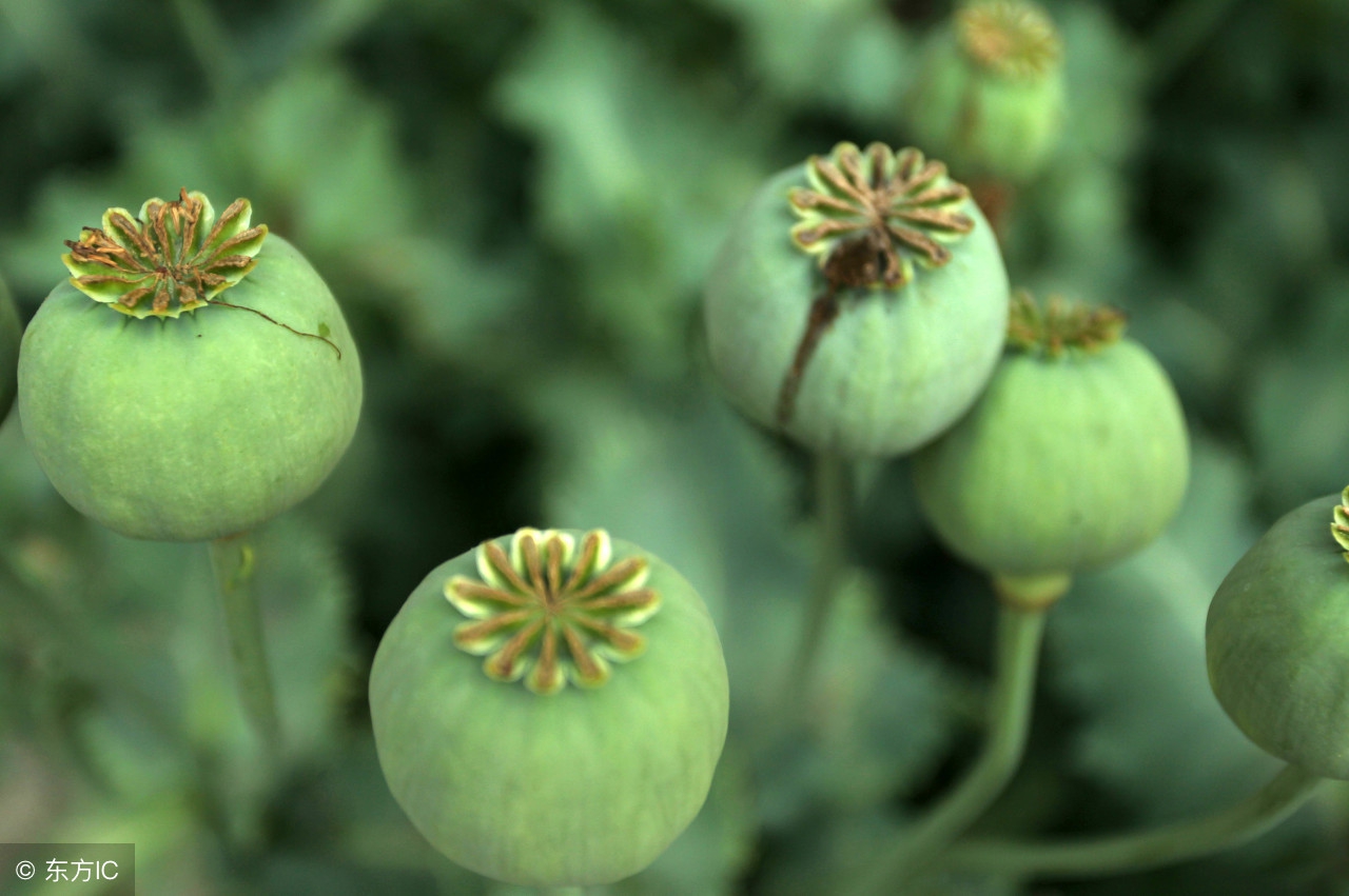 老来当妈跟吸毒有啥两样……