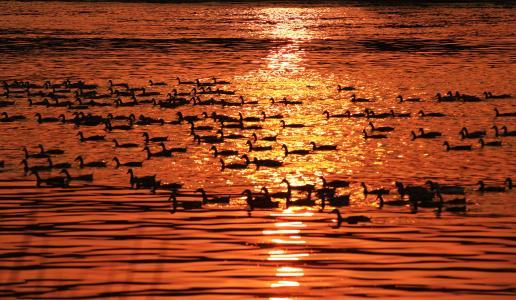 通货膨胀谁受益,通货膨胀的几个阶段