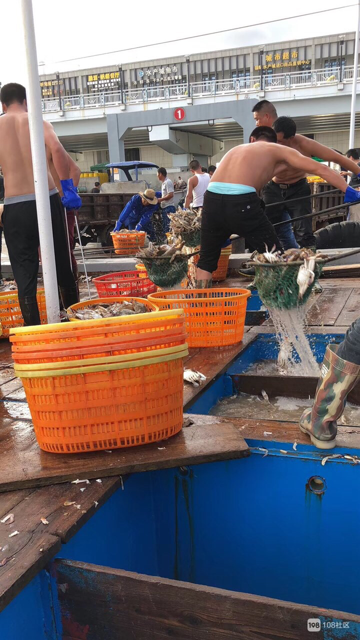 舟山旅游攻略买海鲜,舟山适合游客的海鲜市场