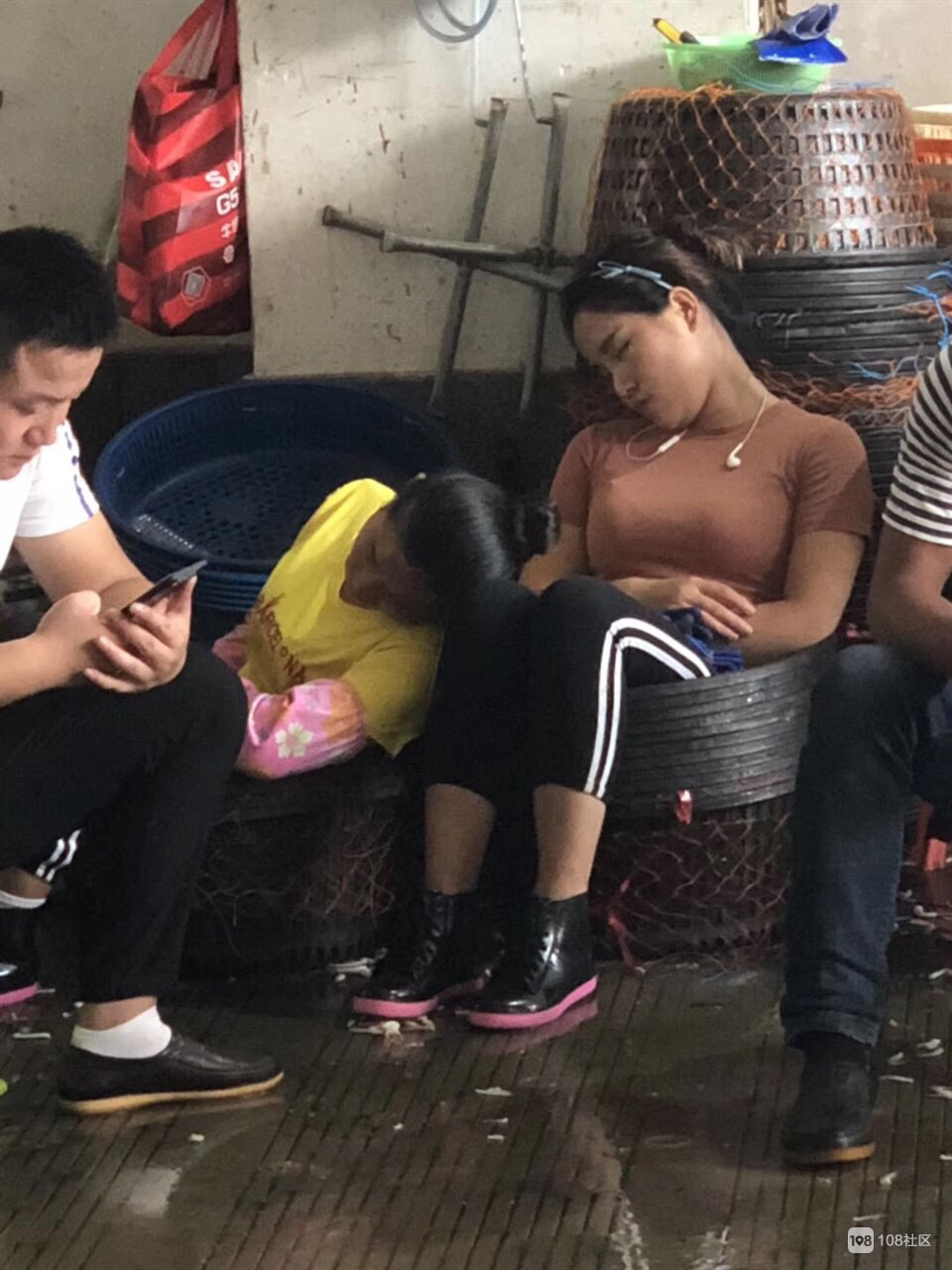 游客去舟山怎么买海鲜,舟山小白海鲜