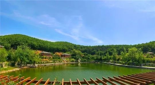 每日一咖港式茶饮,每日一咖日常生活