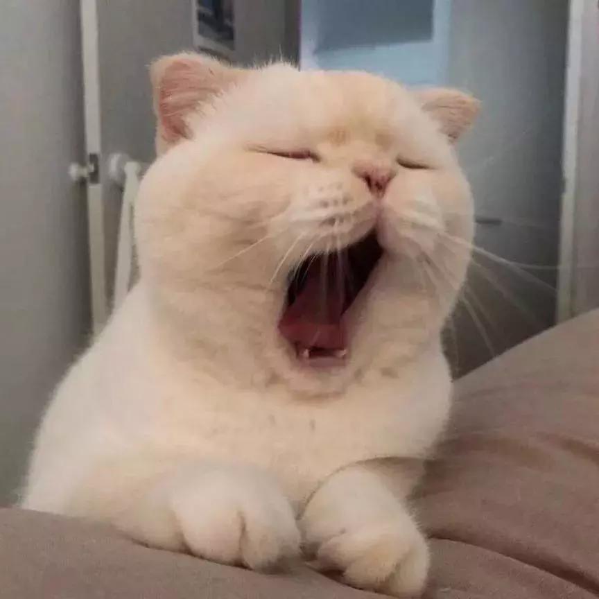 北漂农民工的蜗居,北漂民工