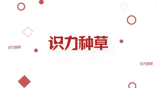 一招解决头皮屑的小妙招,解决头皮屑过多的小技巧