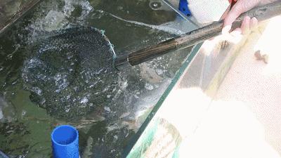 三亚火车头万人海鲜广场哪家好吃,在三亚3000元一桌的海鲜大餐