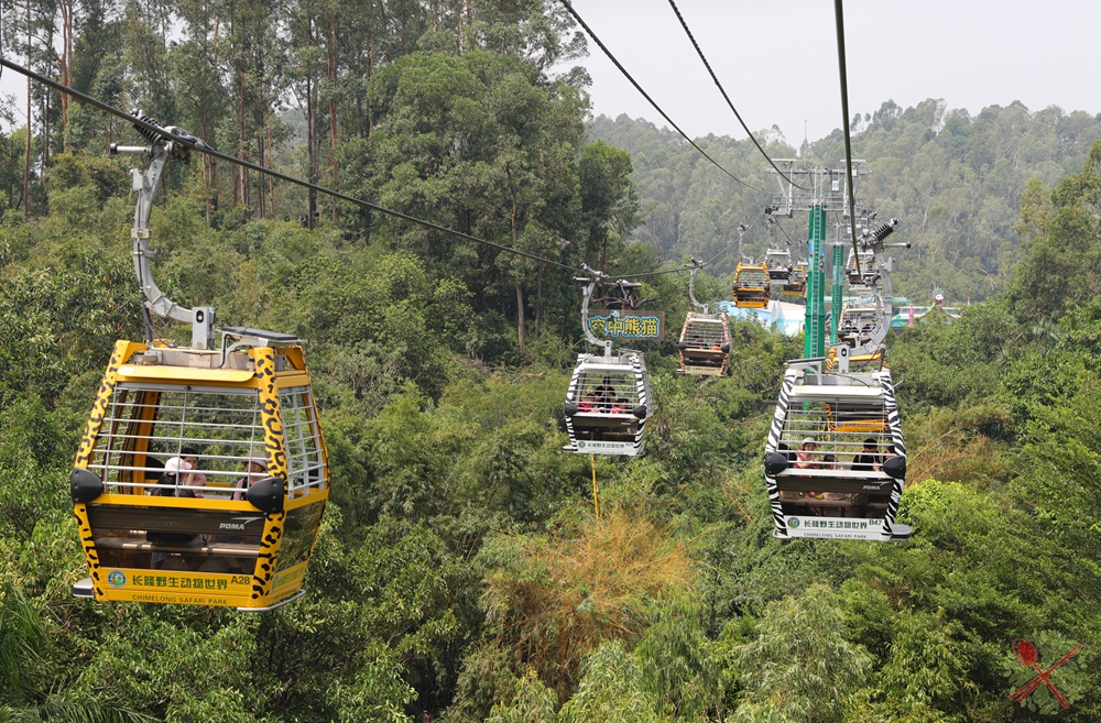 广州长隆4大乐园几天可以耍完,广州长隆野生动物世界国庆门票