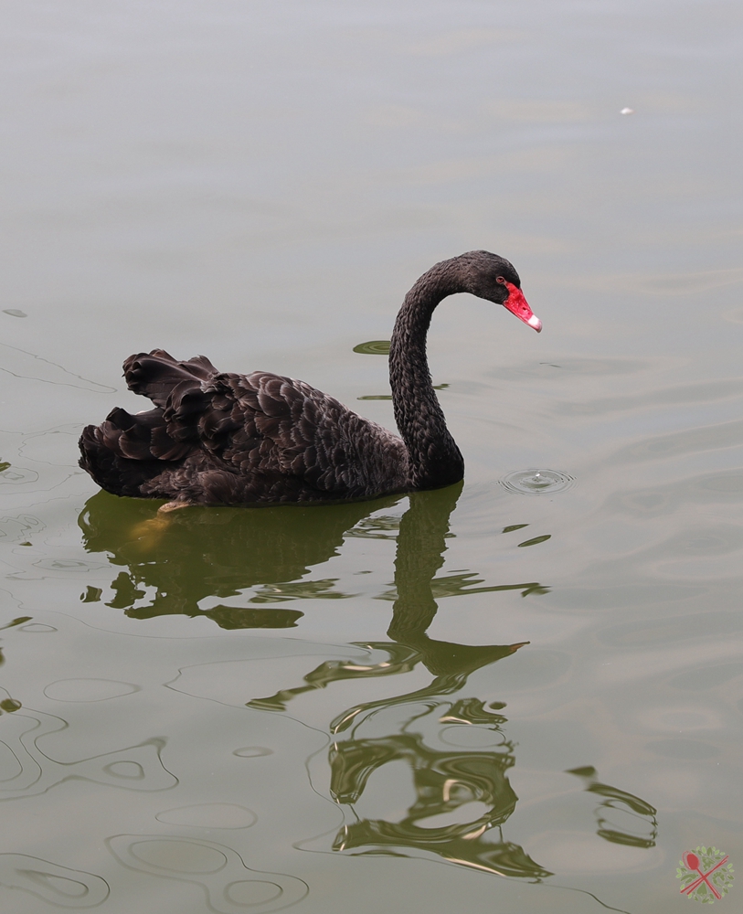 广州长隆乐园最全游玩攻略,广州长隆乐园旅游攻略三天两夜