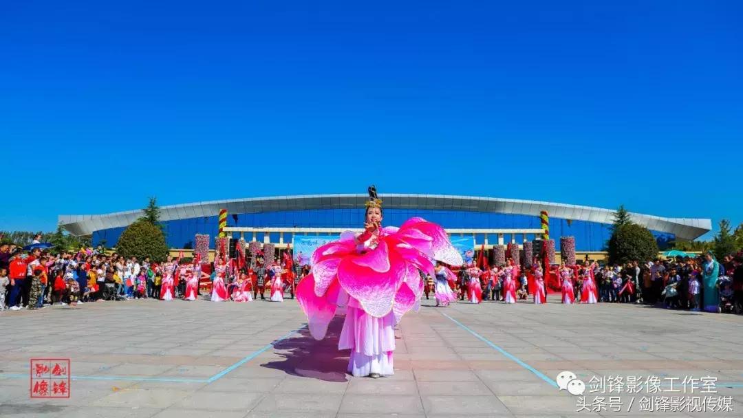 百花争艳花展,争奇斗艳花卉展