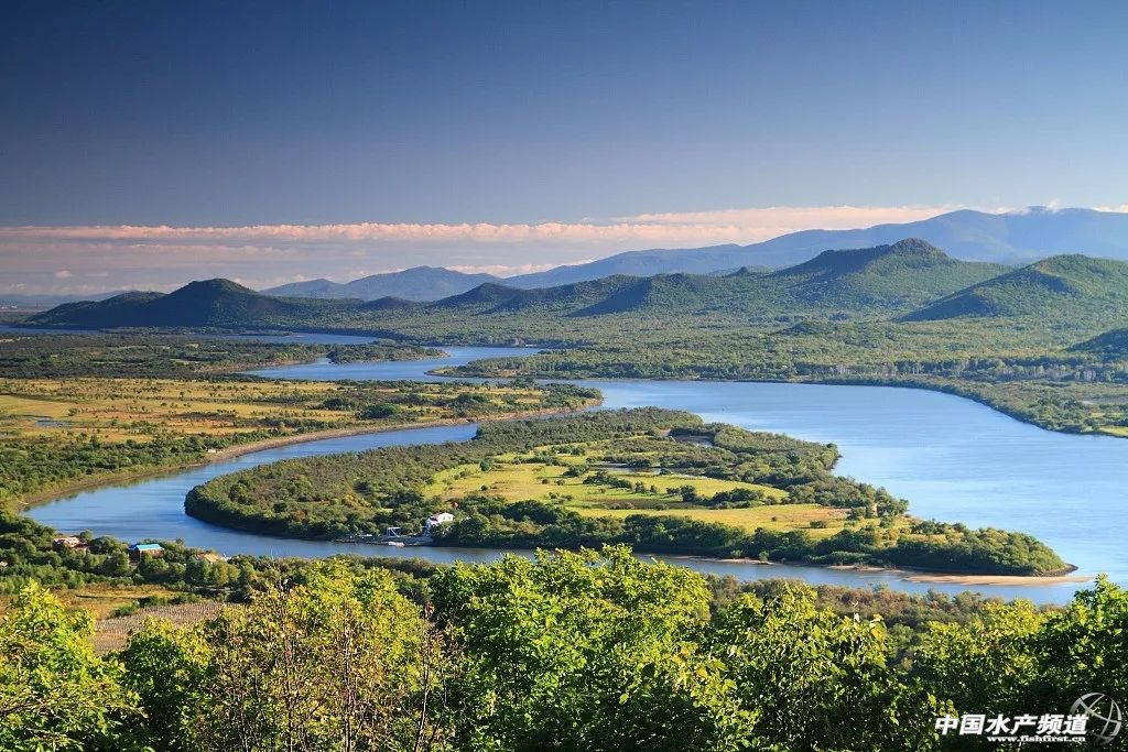生鱼片哪里最出名,生鱼片排名前十名鱼