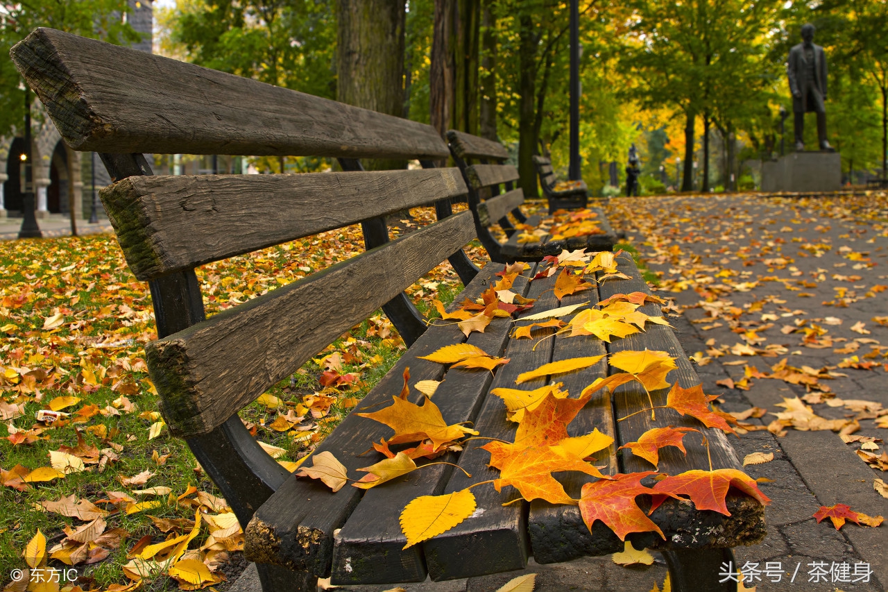 秋季必吃7大最佳养生蔬菜,十大营养蔬菜排名图片