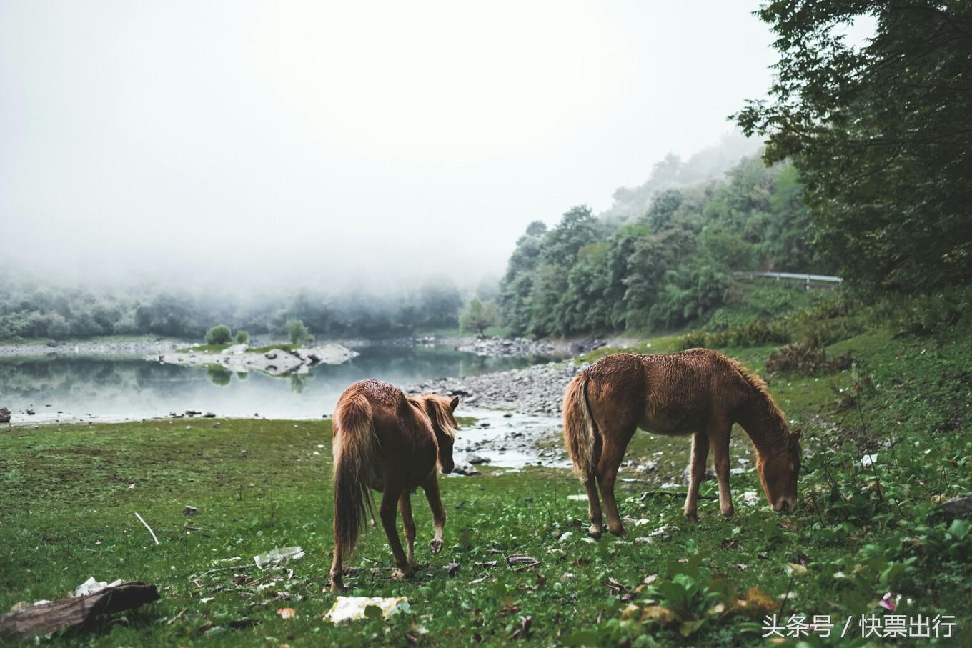 2020孟获城冶勒湖自驾攻略,孟获城冶勒湖自驾游攻略绵阳