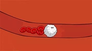 颠覆爱因斯坦的实验,颠覆实验