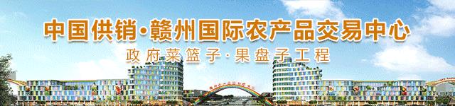 微信上被骗几百块钱最真实案例,赣州被骗200怎么办