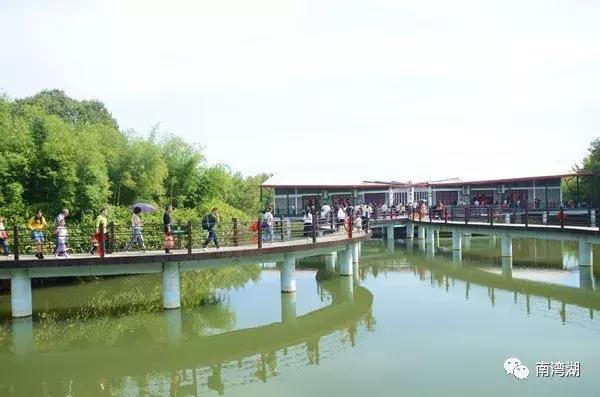 信阳十一自驾游推荐表南湾湖,十一假期旅游推荐信阳自驾游