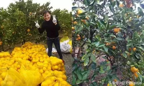 一位大叔改造农村自建房,40多岁大叔改造海景房