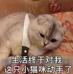 假期返程不走高速好吗,长假返程高速最新消息