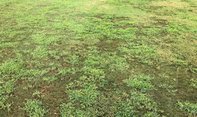 鹿晗踢足球高光时刻,鹿晗参加完活动马上看足球比赛