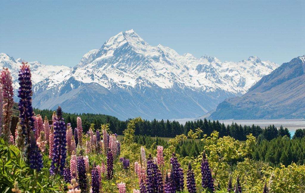 新西兰最纯净的国家,新西兰全球最清廉的国家