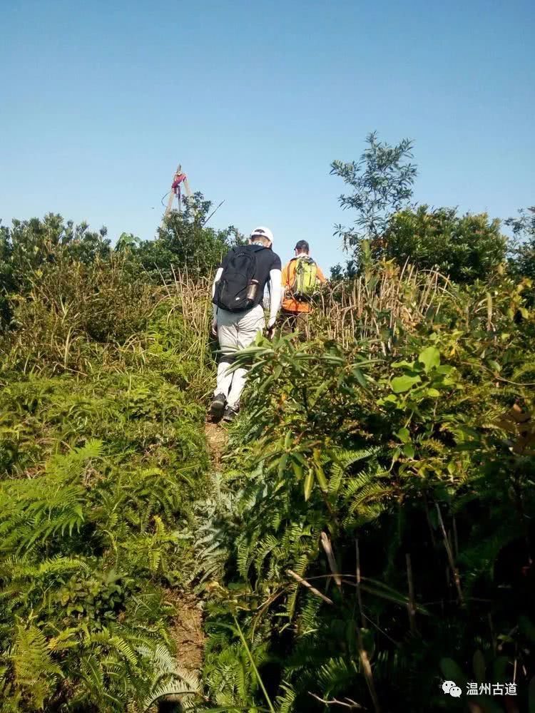 大罗山景区旅游攻略,罗山哪个山最好玩