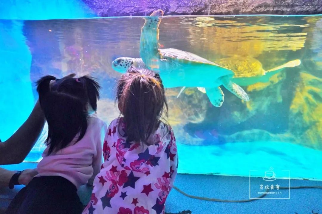 秦皇岛最值得去的旅游景点有哪些,秦皇岛值得玩的地方秋天