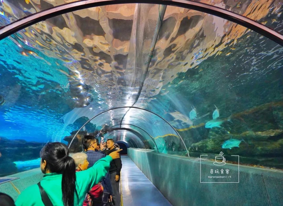 秦皇岛旅游攻略夜景,秦皇岛旅游攻略这几个景点必去