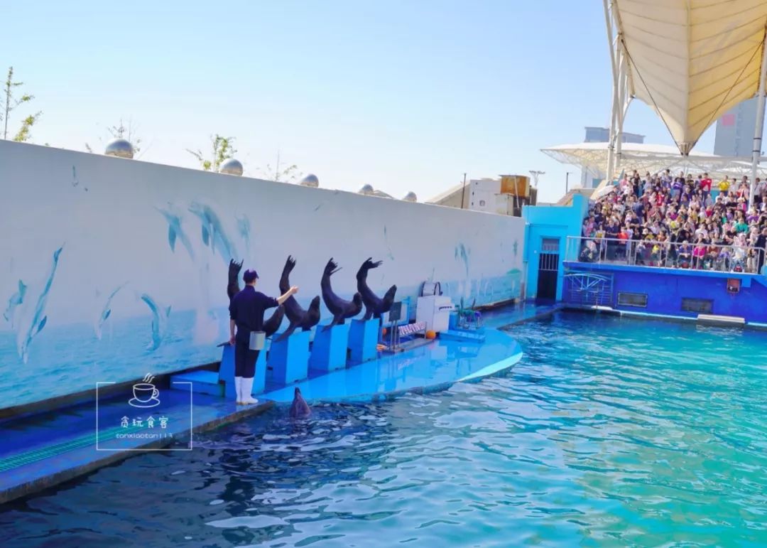 秦皇岛旅游攻略夜景,秦皇岛旅游攻略这几个景点必去