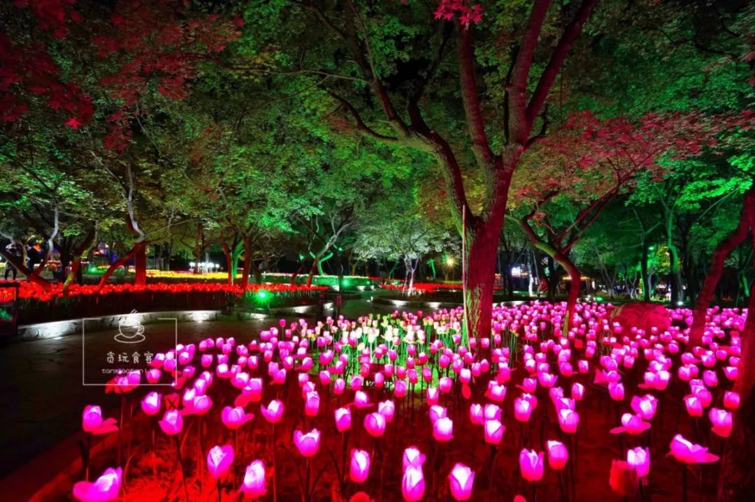 秦皇岛最值得去的旅游景点有哪些,秦皇岛值得玩的地方秋天