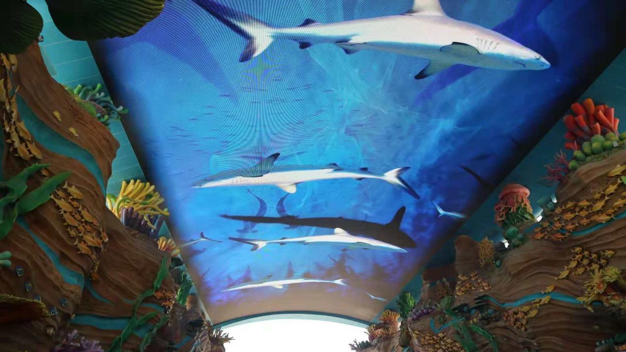 珠海长隆游玩省钱攻略,珠海长隆游玩攻略一天够玩吗