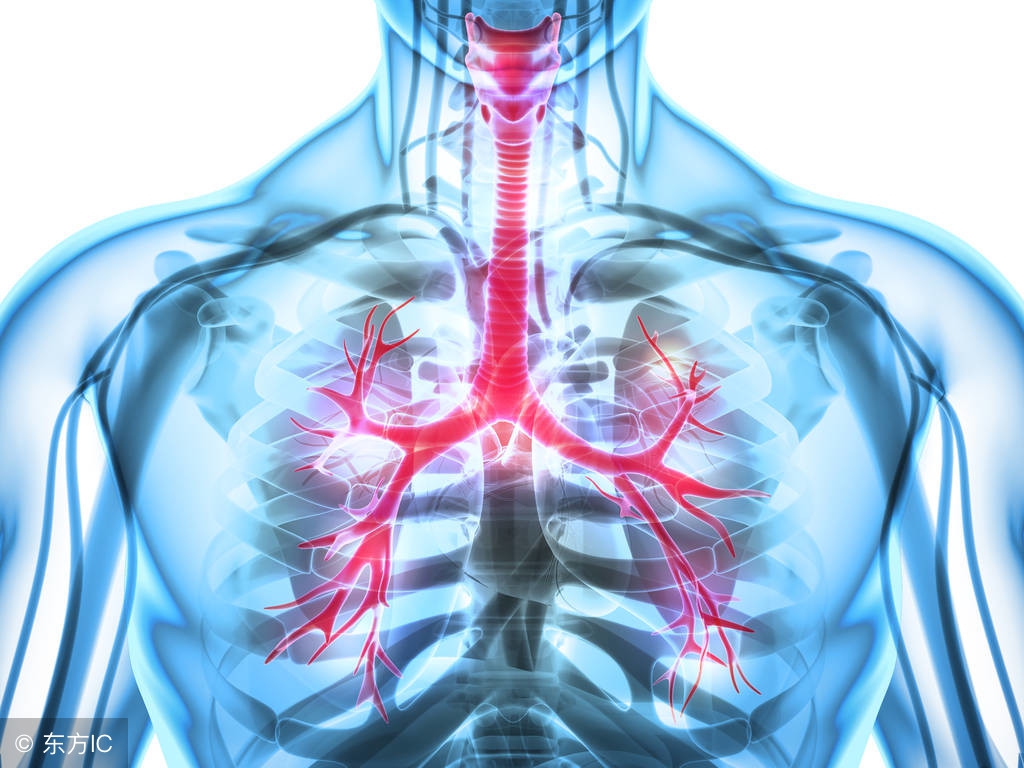 肺支气管扩张影响寿命么,两肺支气管扩张能治好吗