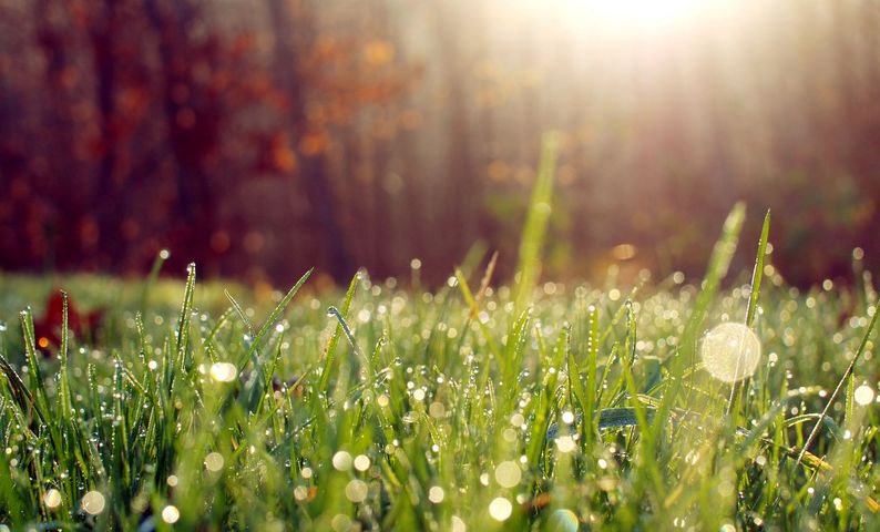 寒露古诗词名句,古诗寒露七言诗句