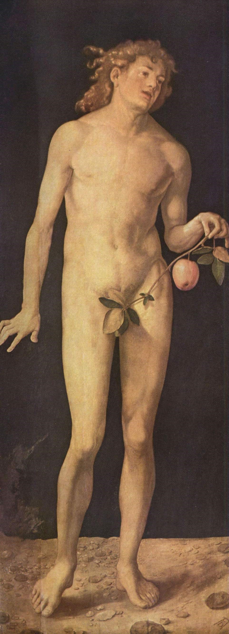 丢勒生平经历,丢勒的经历