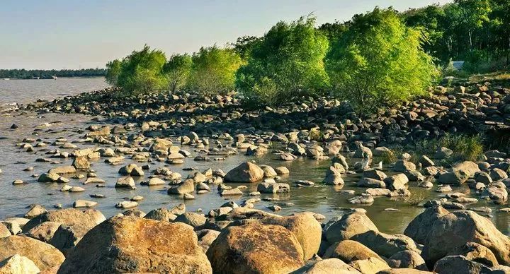 上海地铁的免费景点,上海地铁9号线沿线景点