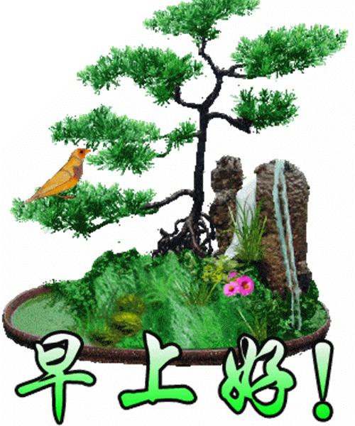 四季发财五子登科六六大顺,六六大顺早上好祝福视频