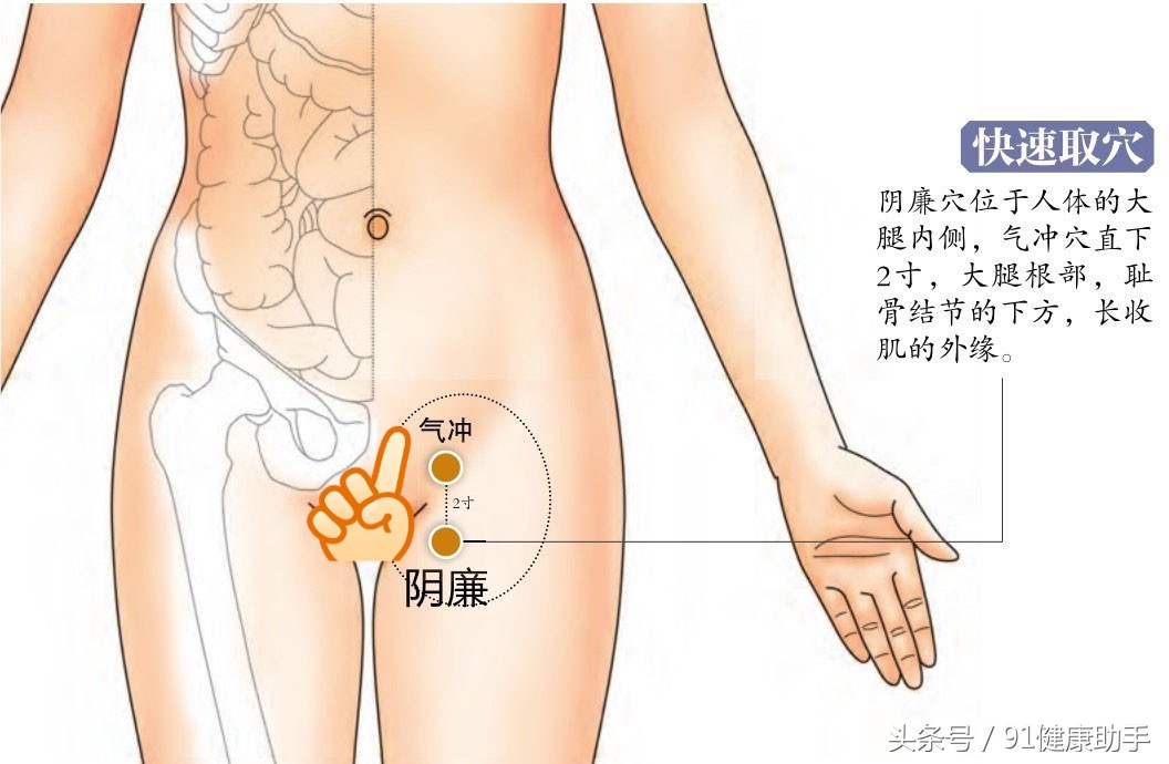 穴位养生｜阴廉穴：调理月经不调、小腹疼痛、股内侧痛阴部瘙痒