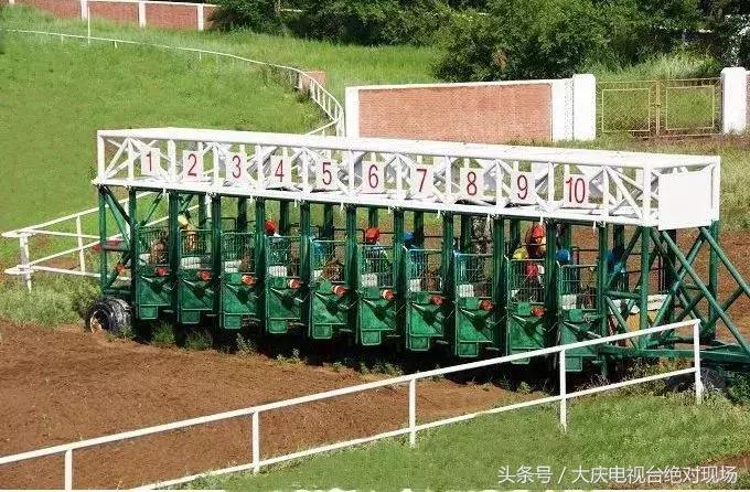 大庆这个城市未来会有发展吗,大庆哪个县发展潜力大