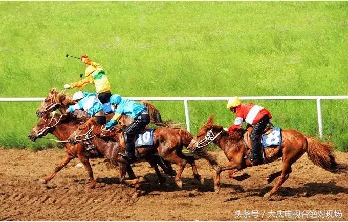 大庆这个城市未来会有发展吗,大庆哪个县发展潜力大