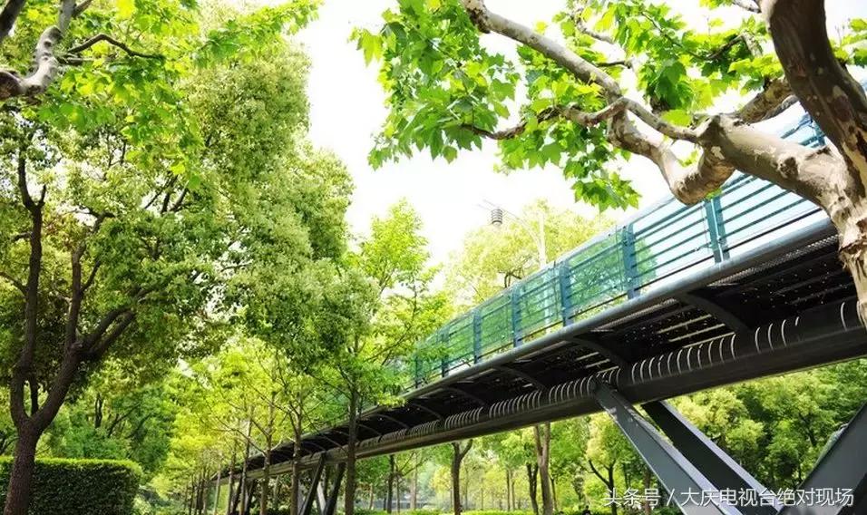 大庆这个城市未来会有发展吗,大庆哪个县发展潜力大