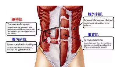 只要24小时教你轻松告别小肚腩,大肚子水桶腰一招解决